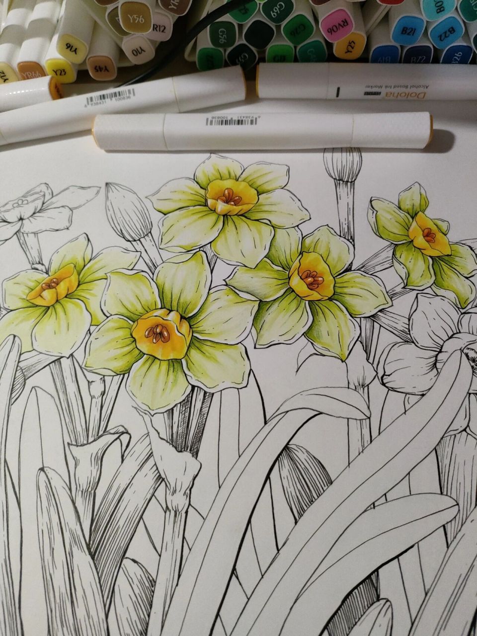 水仙花绘画马克笔线描插画装饰画手绘原创 迟到的年宵花,颜色画深了些