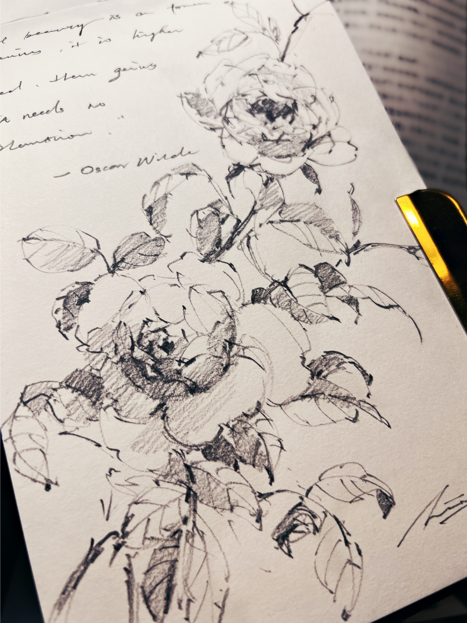 花卉速写 铅笔手绘 蔷薇 线条和文字都是心灵的养分