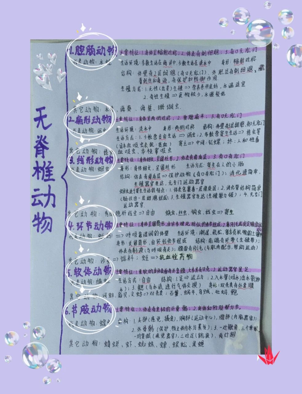 八上生物 无脊椎动物 思维导图 若有错误及时提醒90,不喜勿喷05