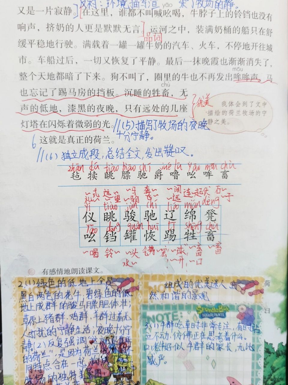 五年级下册语文第19课《牧场之国》笔记 9797