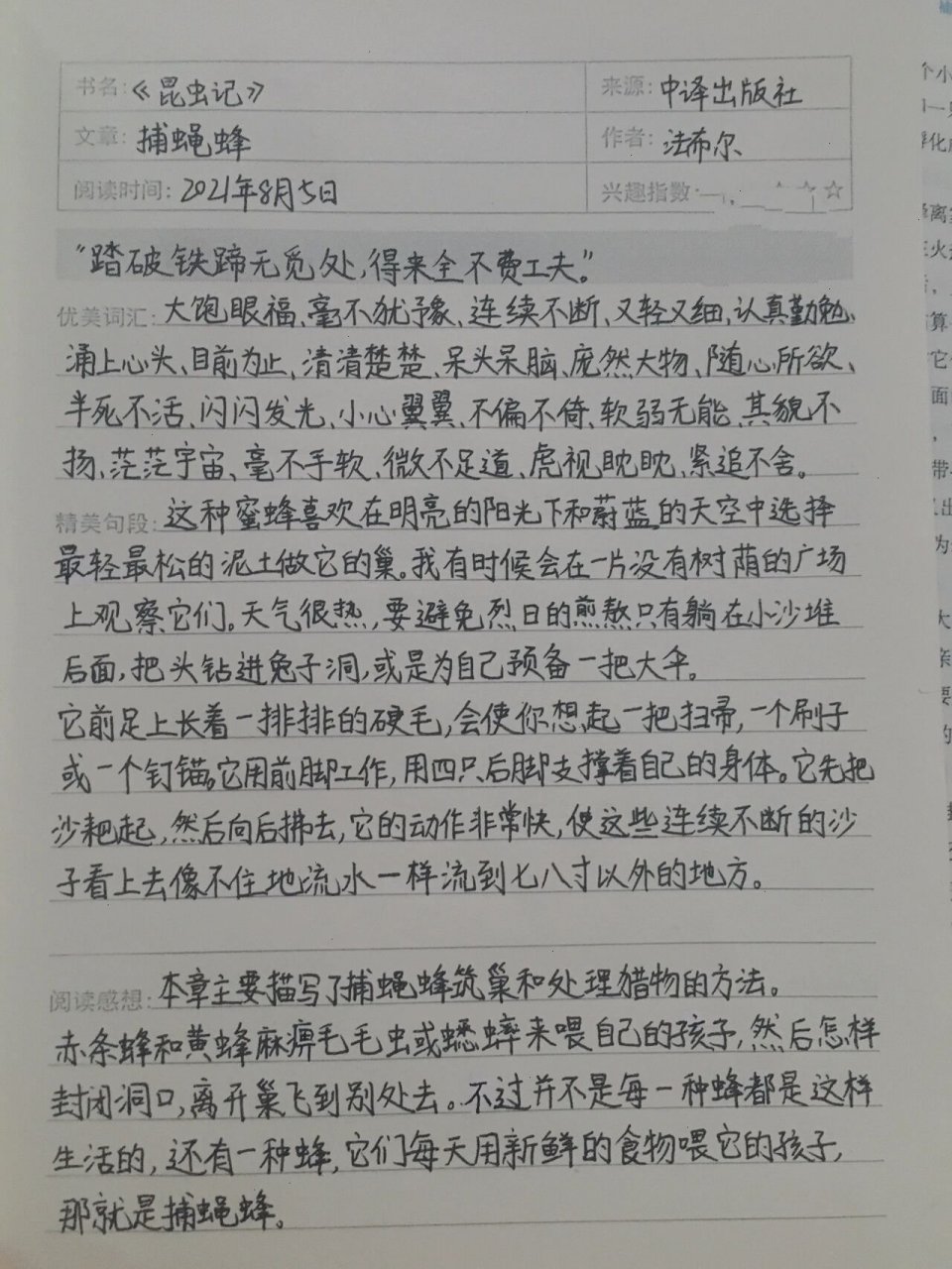 《昆虫记》€读书笔记 虻蝇 捕蝇蜂