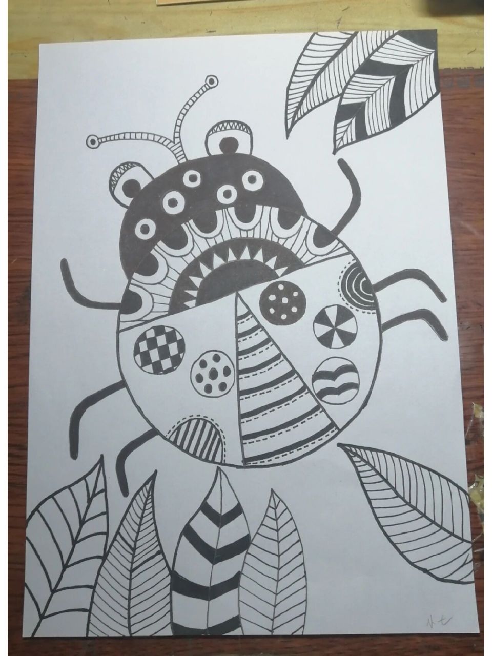 线描画《七星瓢虫》