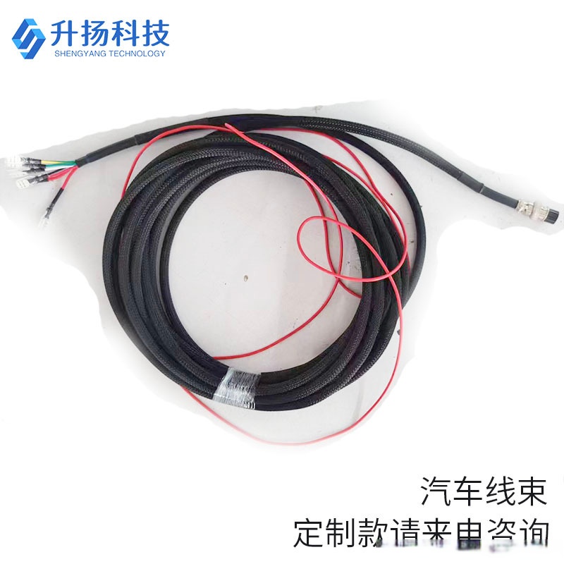 HOWO truck ABS chassis harness overview