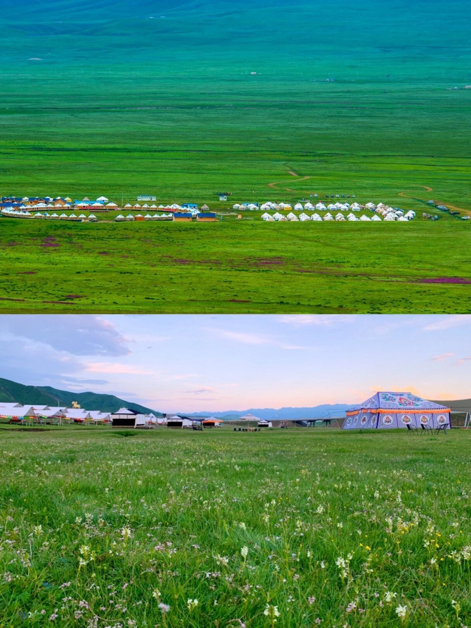 避坑网红地96 夏河县,因大夏河流经而得名,县城海拔2800km,设施完善