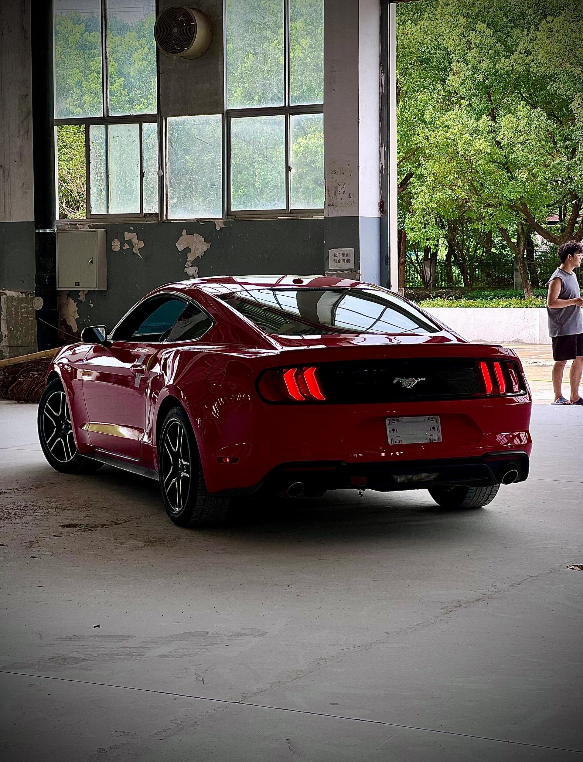 福特-野马 法拉利 一只马的标志是啥车