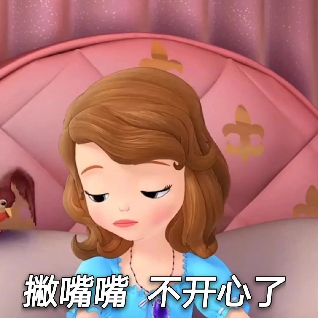 小公主苏菲亚表情包99 2023苏菲亚表情包