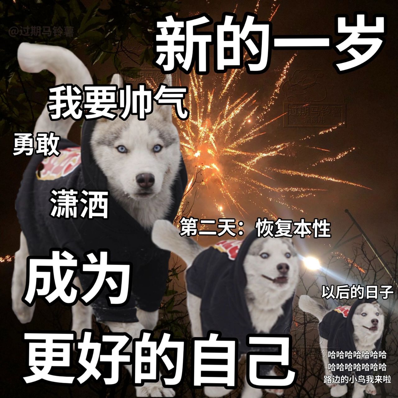 表情包|祝愿你的快乐,不止在生日这一天 吵什么吵,就这么一点事.