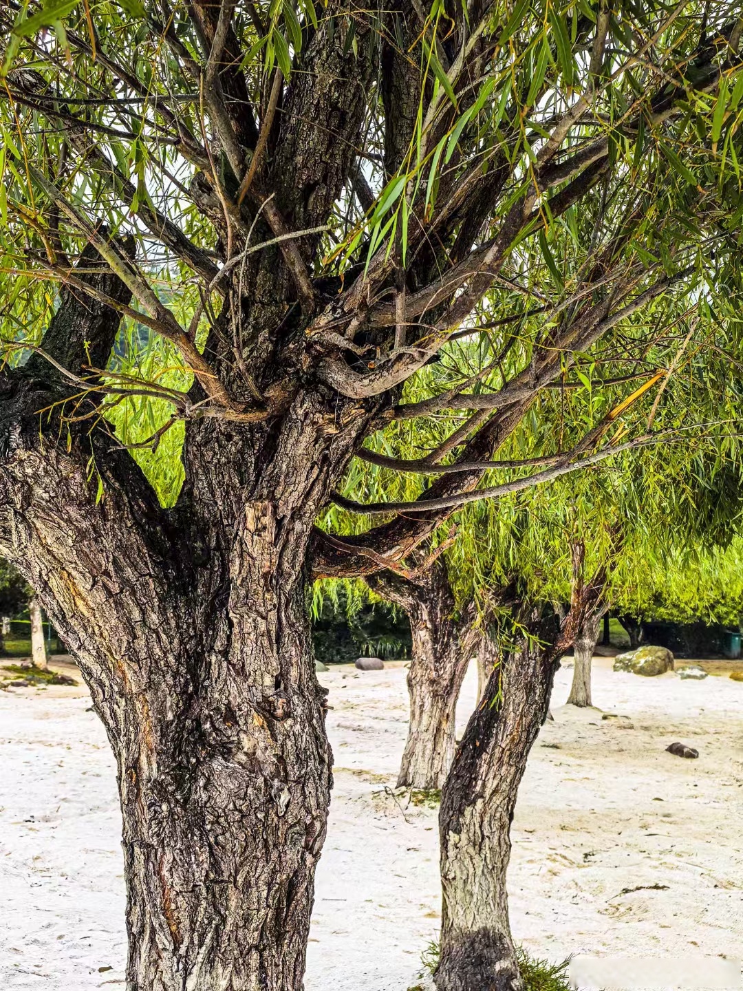 突然就开始怀念假期吃到的美食!这个周一好无力啊!