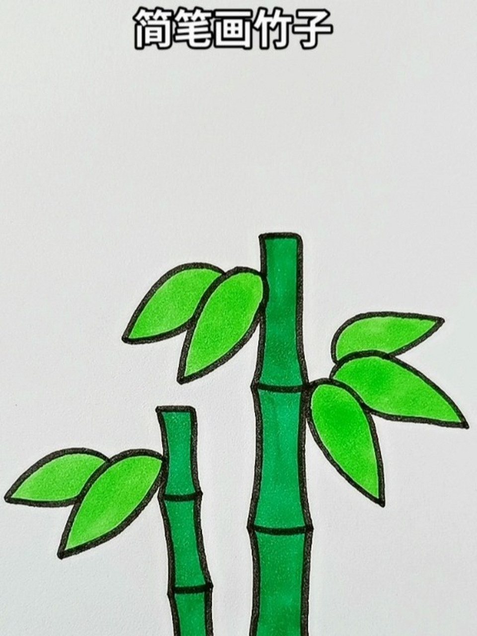 竹子简笔画彩色 简单图片