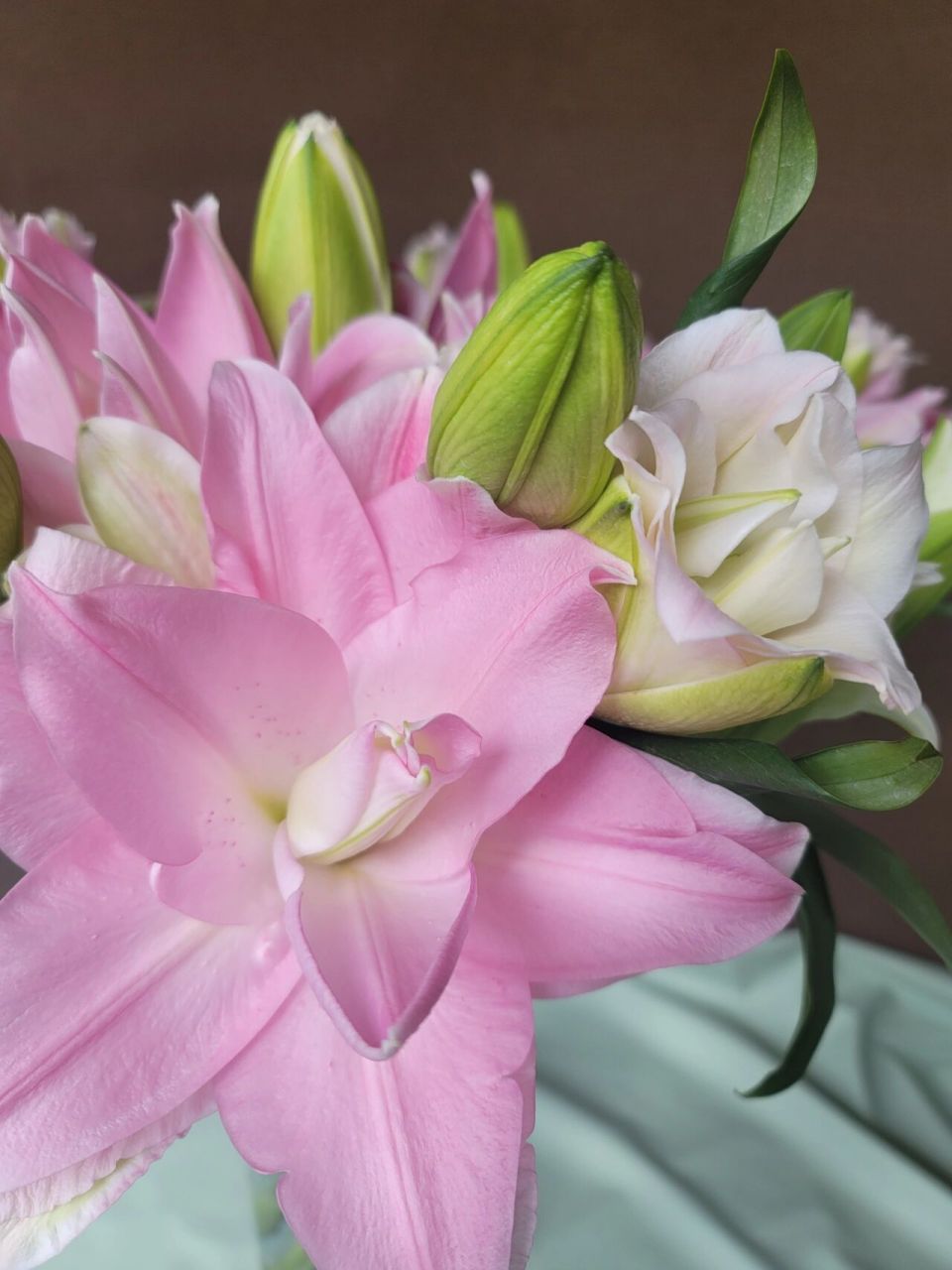 蜜糖水晶重瓣百合来咯～ 拍的时候只有不停词穷地感叹太美了!