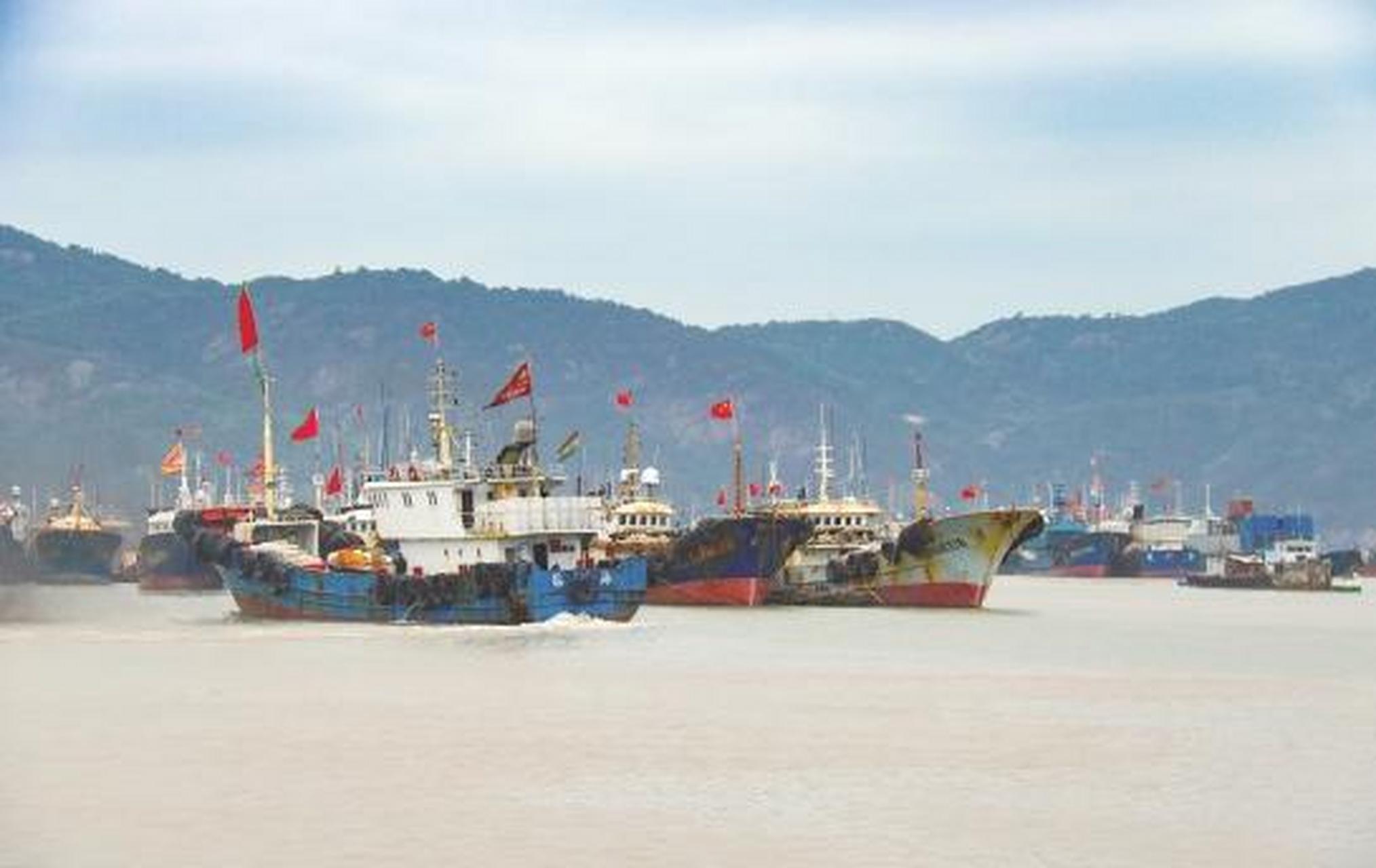 朝阳初升,福建省福鼎市沙埕镇中心渔港热闹了起来.