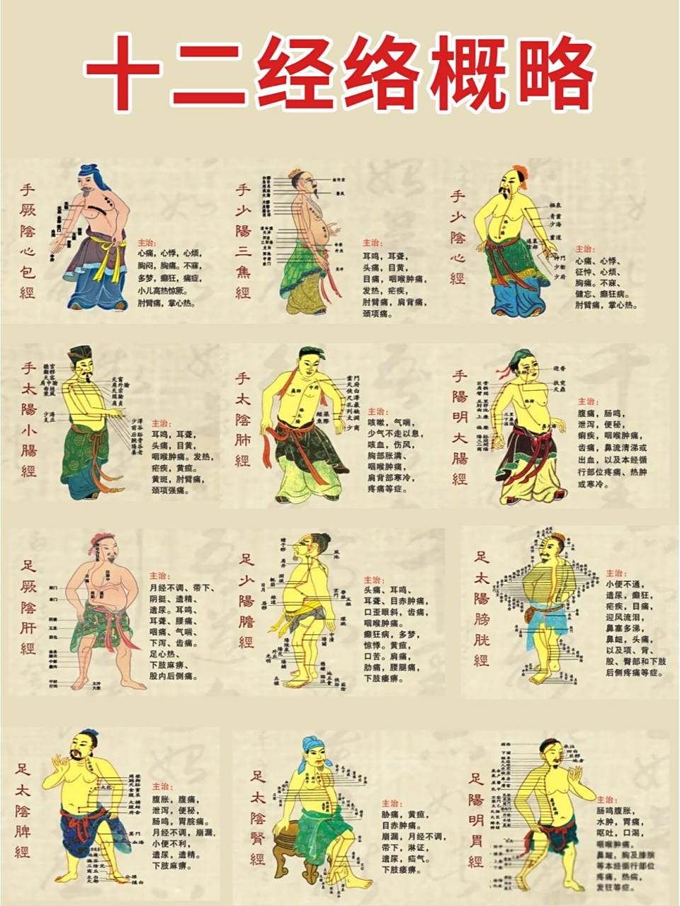 十二经络概略🍂 1. 手厥阴心包经 2. 手少阳三焦经 3