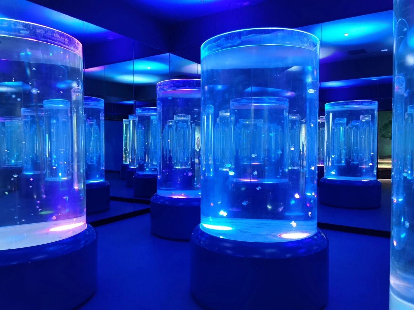 湖口长江鄱阳湖水生基地 水族馆(湖口长江鄱阳湖水生基地)遛娃日常