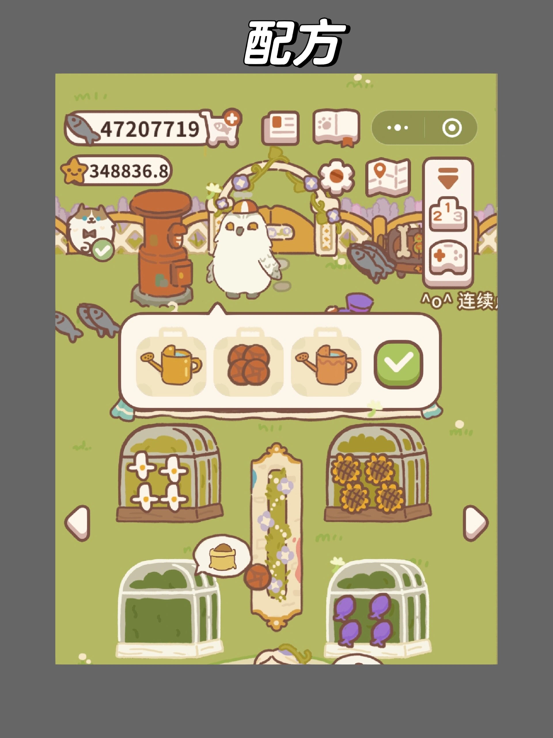 动物餐厅信件小乌龟的信2