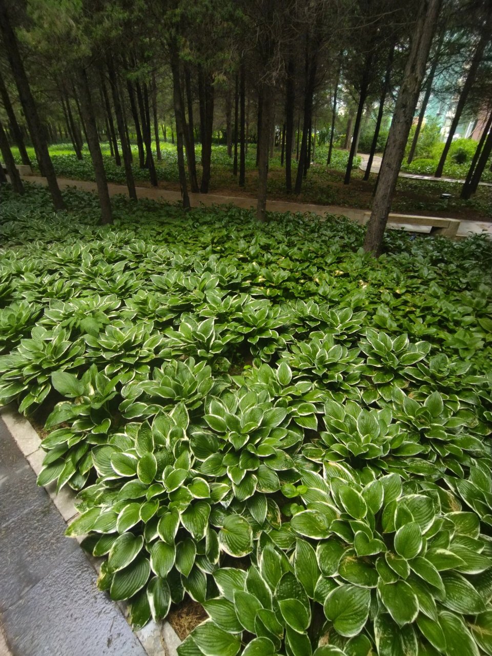 沈阳科普公园走一圈
