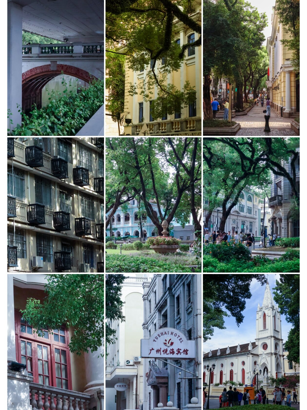 作为广州市中心的一个小岛,沙面以其独特的历史和迷人的环境,成为了一