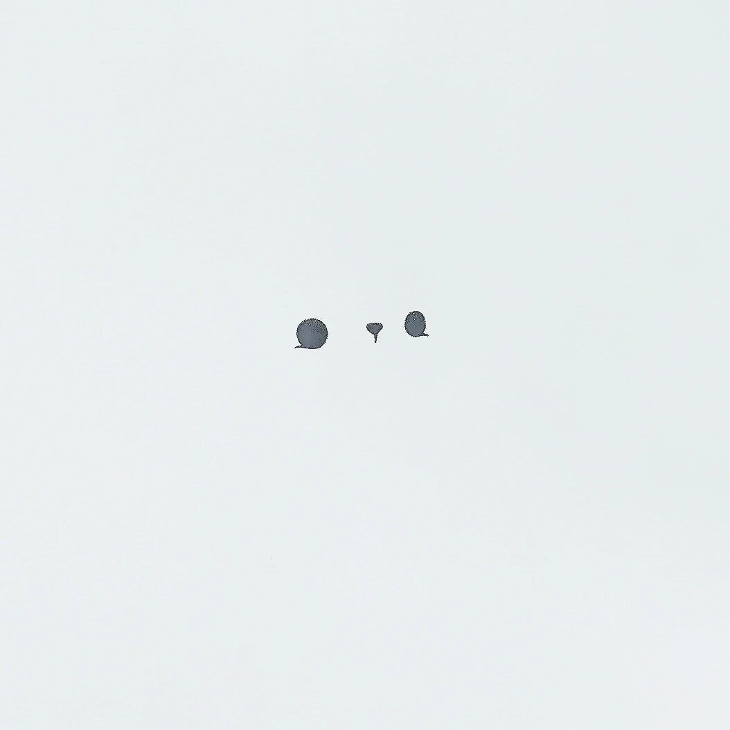 零基础简笔画教程|茶杯猫