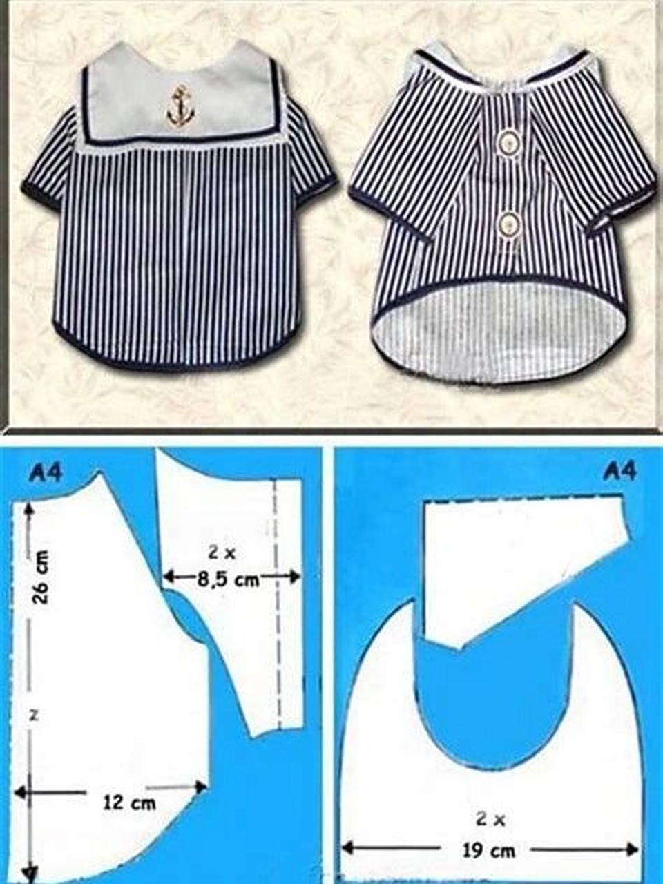 狗狗98衣服图纸 分享创意与灵感