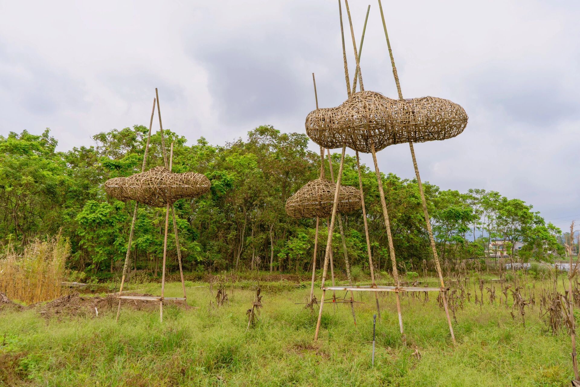 乡村公共艺术|《故乡的云》|竹材料97 作品:《故乡的云》 作者:王