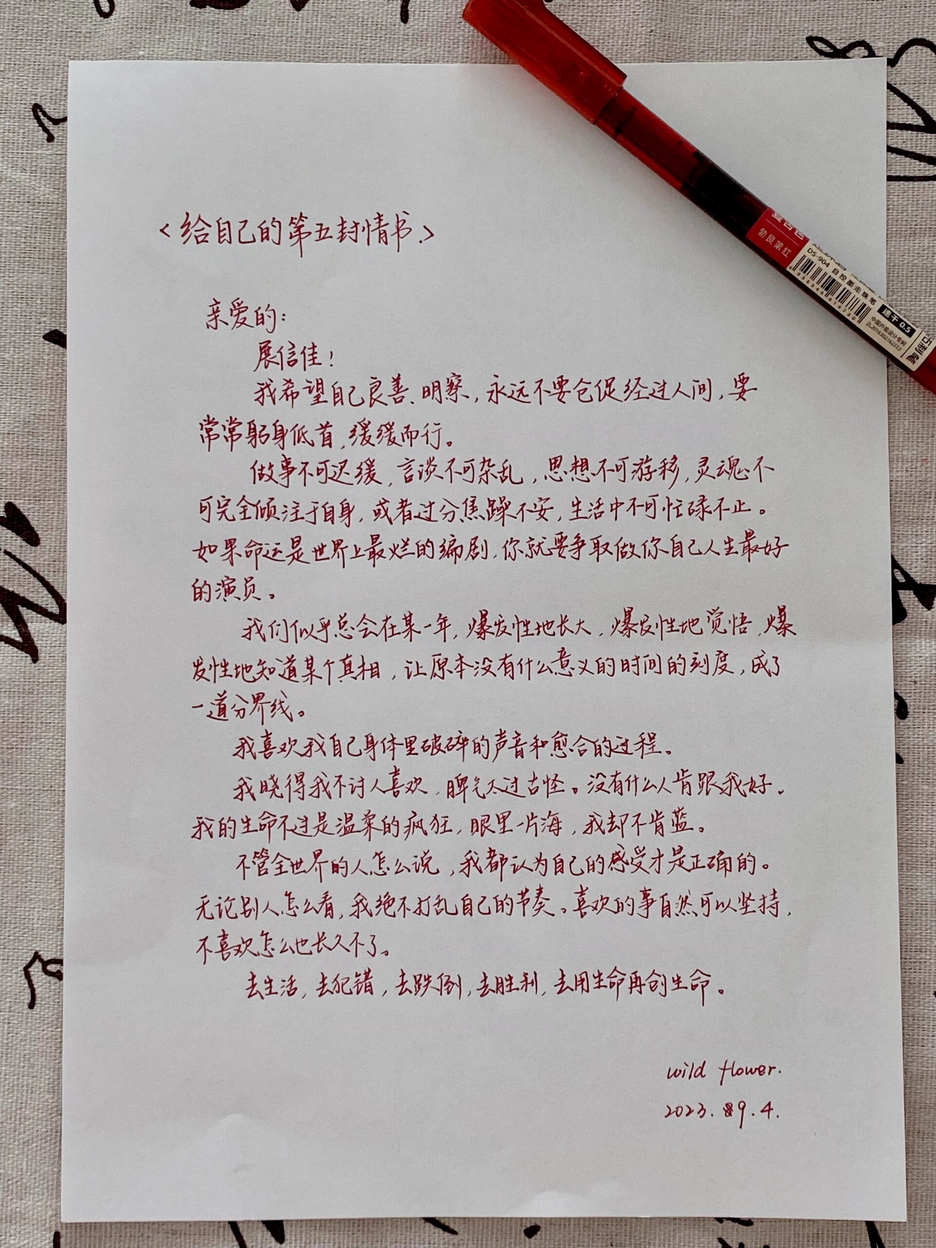 给自己的一百封情书💌