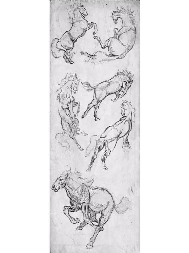 美术干货|马的画法