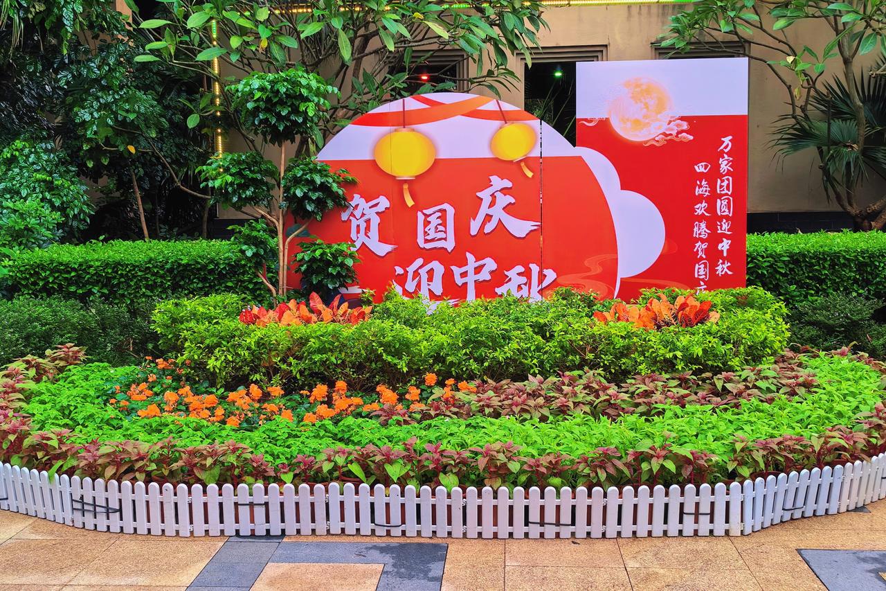 多年没有回深圳的小区.管家发来的中秋和国庆照片儿看起来还挺好看的