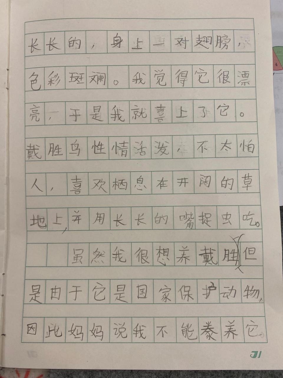 我最喜欢的动物 二年级作文