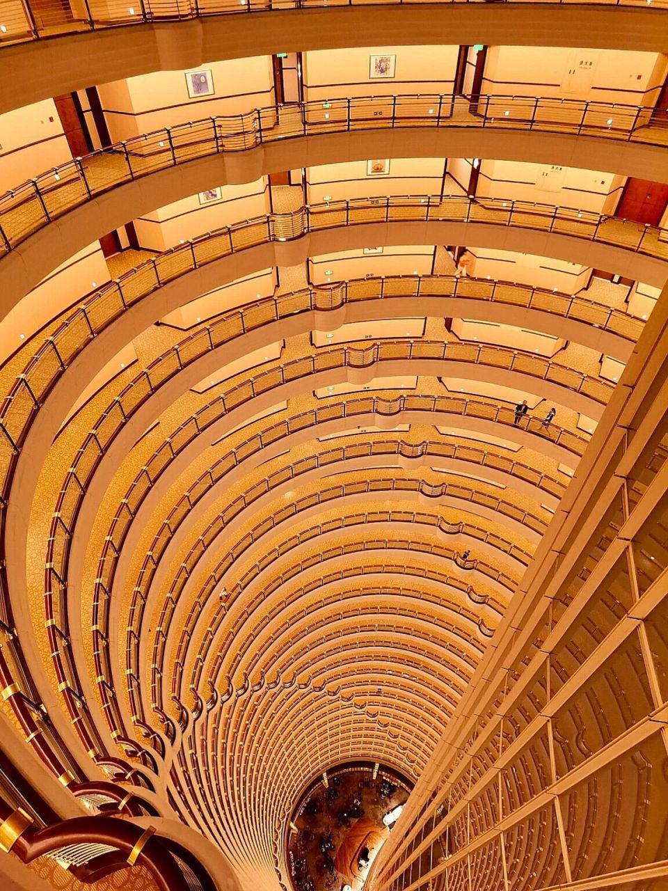 上海金茂大厦酒店图片