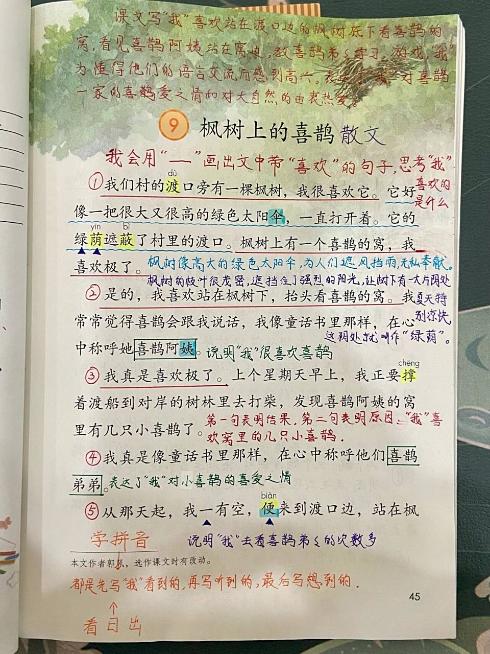 二下课堂笔记《枫树上的喜鹊》