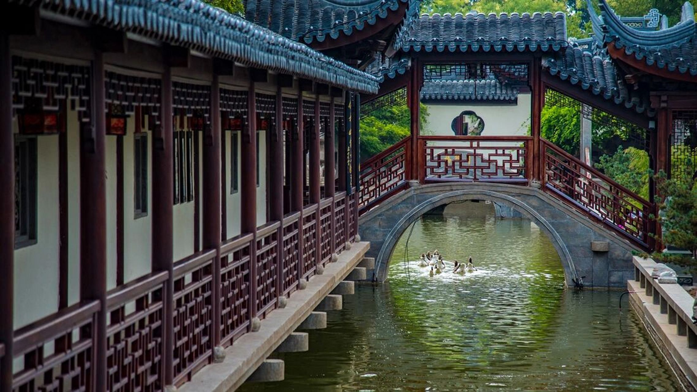 聊城旅行不要错过|苏州园林般的宛园 聊城旅行的新晋的网红打卡点宛园