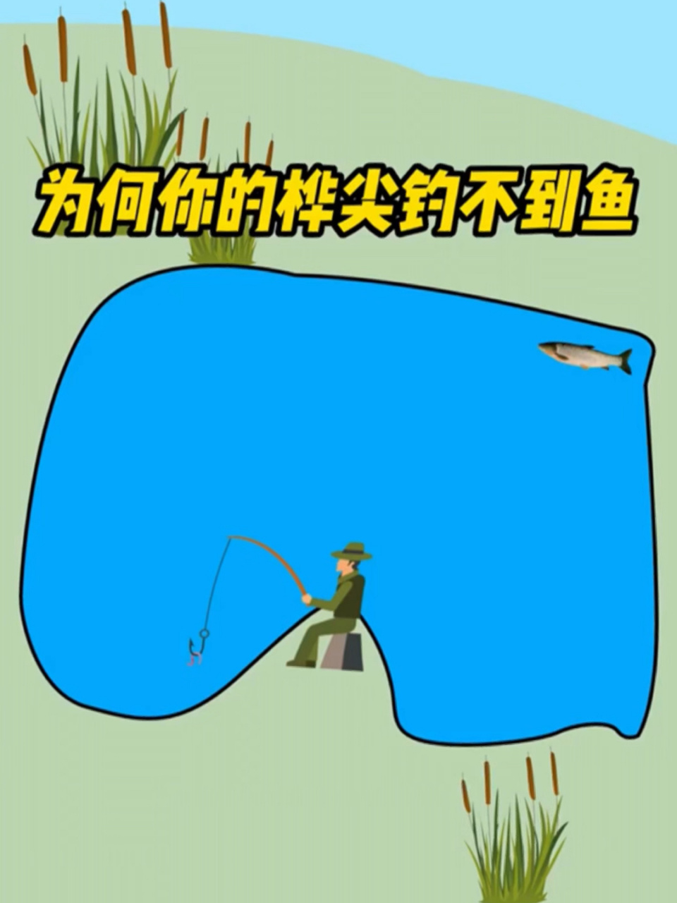 桦尖钓不到鱼的原因