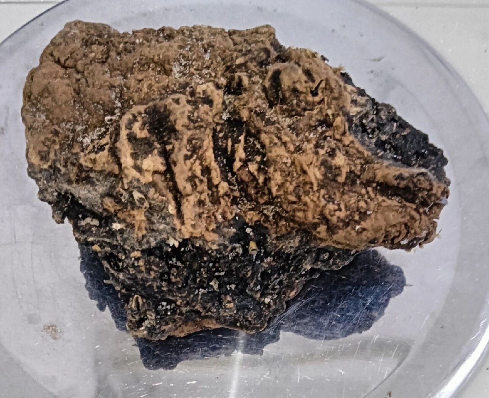 天然龙涎香 龙涎香的来历: 传说欧洲人传统上把龙涎香叫做"琥珀香".