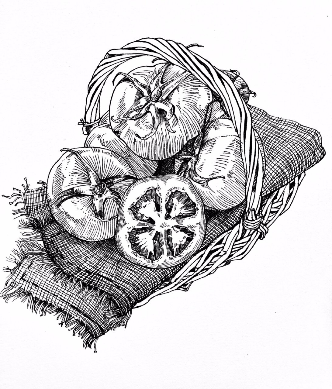 静物写生|蔬菜系列|线描西红柿97(后附过程) 素材来源