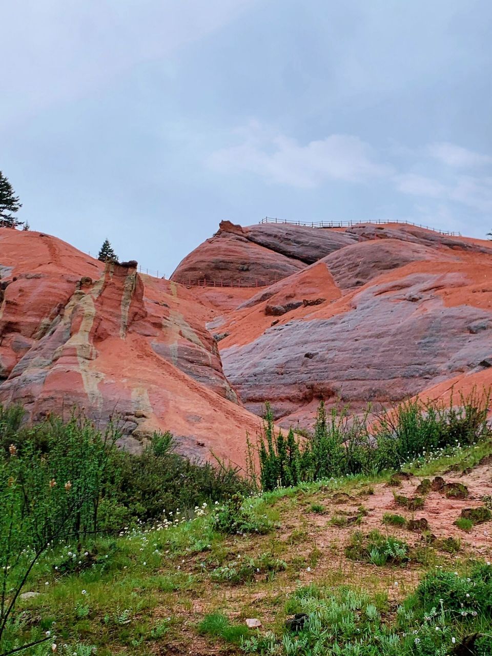 预言下一个川西网红打卡地97新龙红山景区 前段时间又一次去甘孜踩