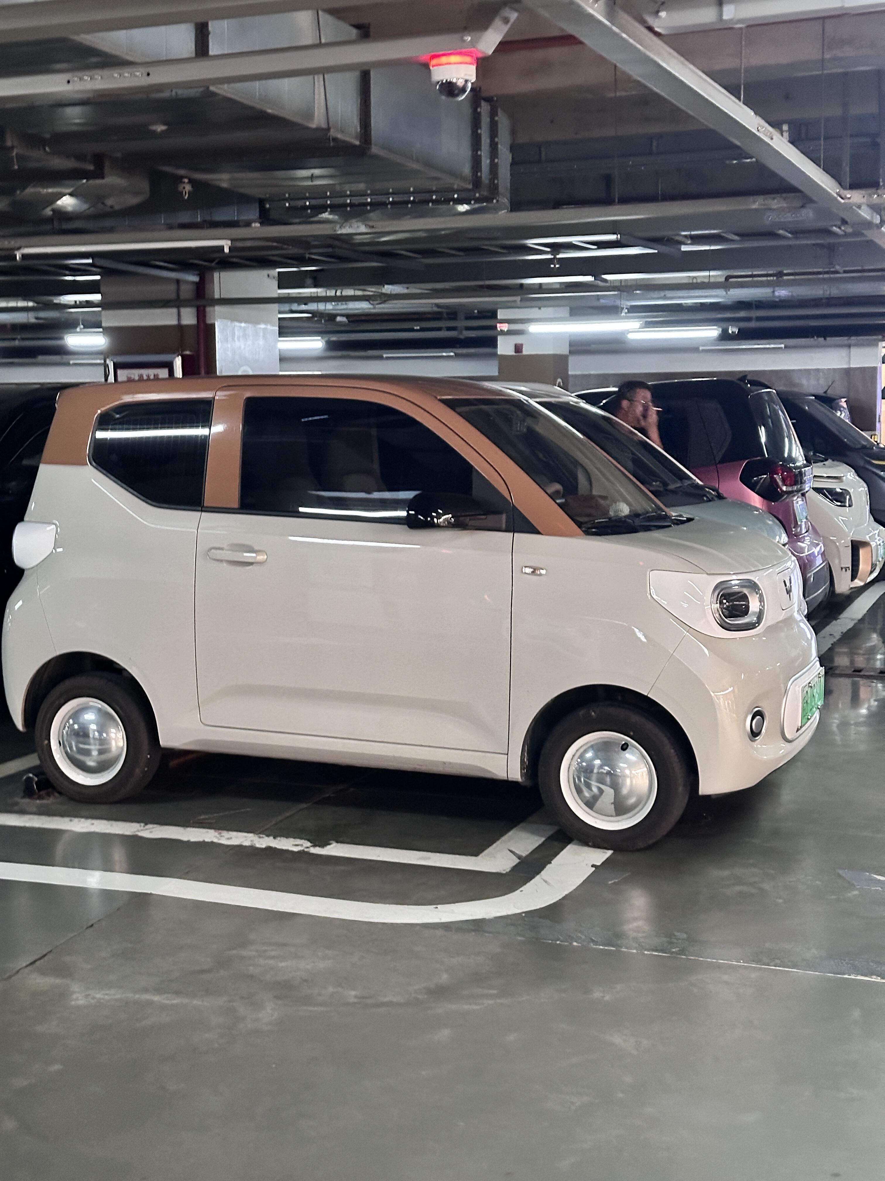 柳州,你怎么全是这种车?