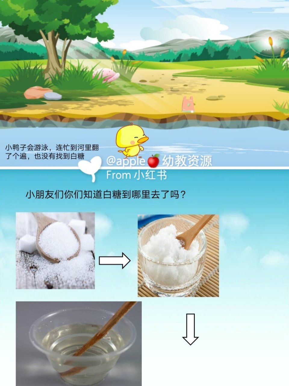 幼儿园公开课小班科学《糖和盐不见了》   一,情景故事"小鸭子买糖"