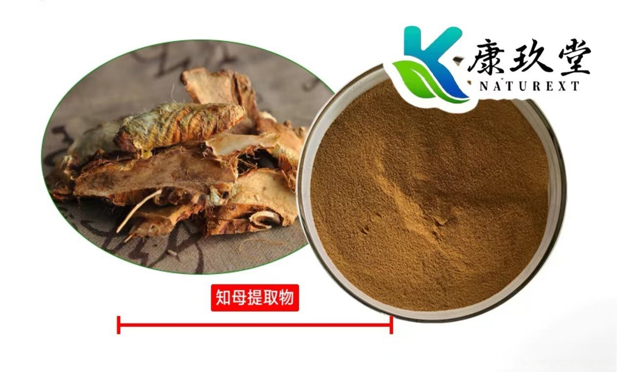 何康生物科技(杭州何康集餐饮管理有限公司)