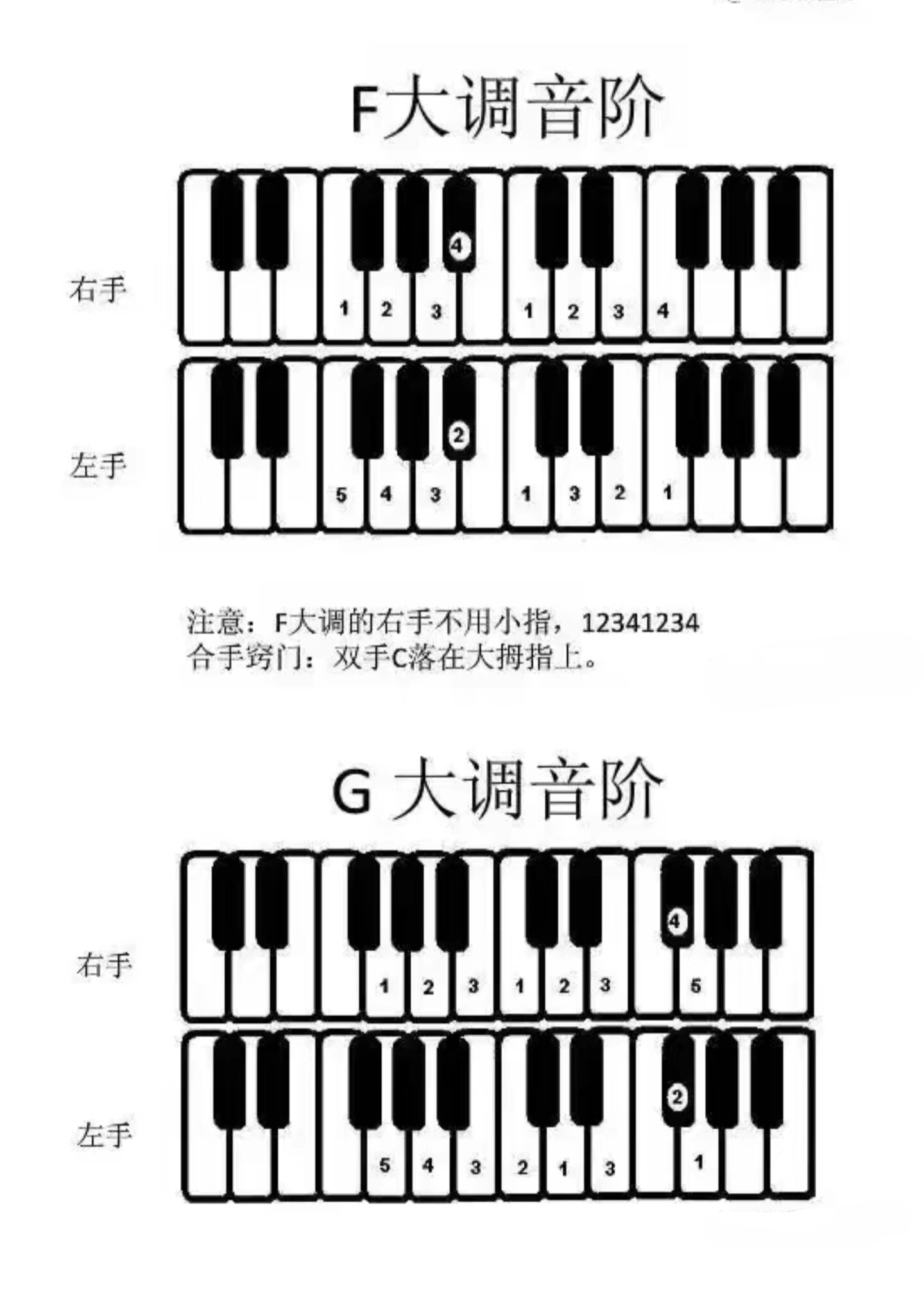 g大调音阶全图图片