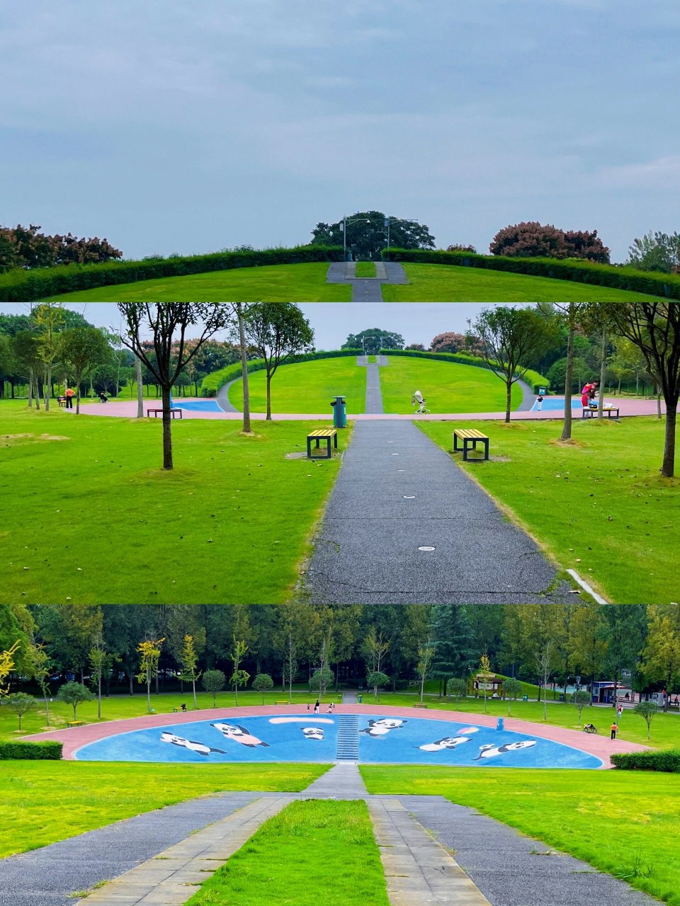 走我们一起去运动|双流运动公园 99:双流运动公园 99: 双流区-航