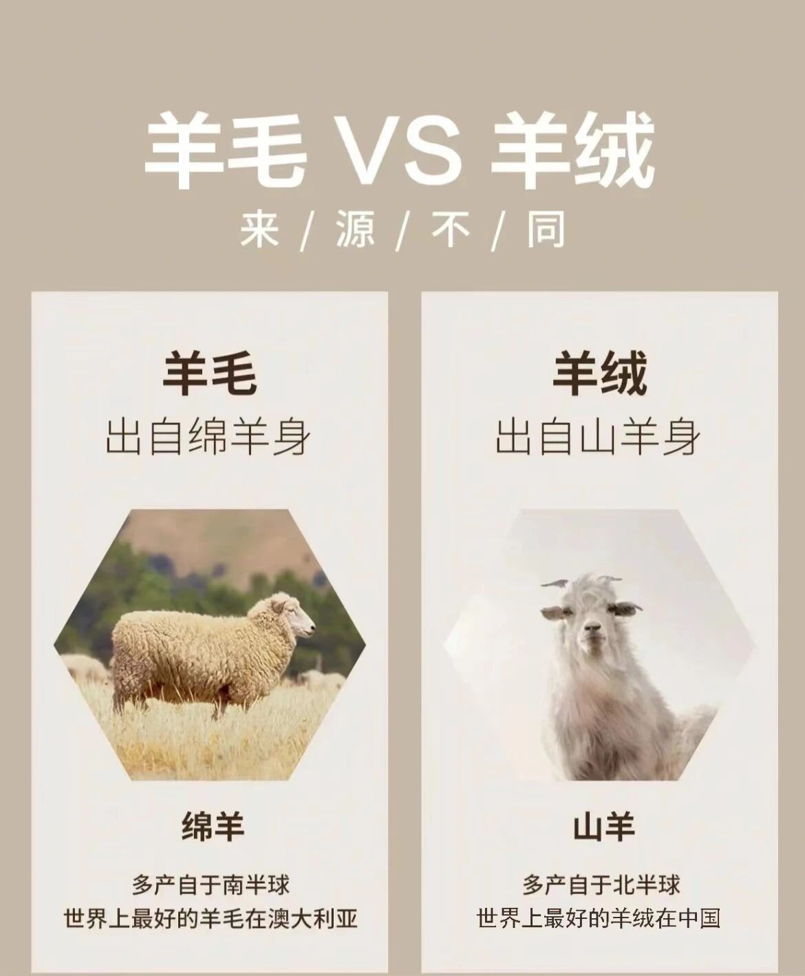 羊绒与羊毛的区别
