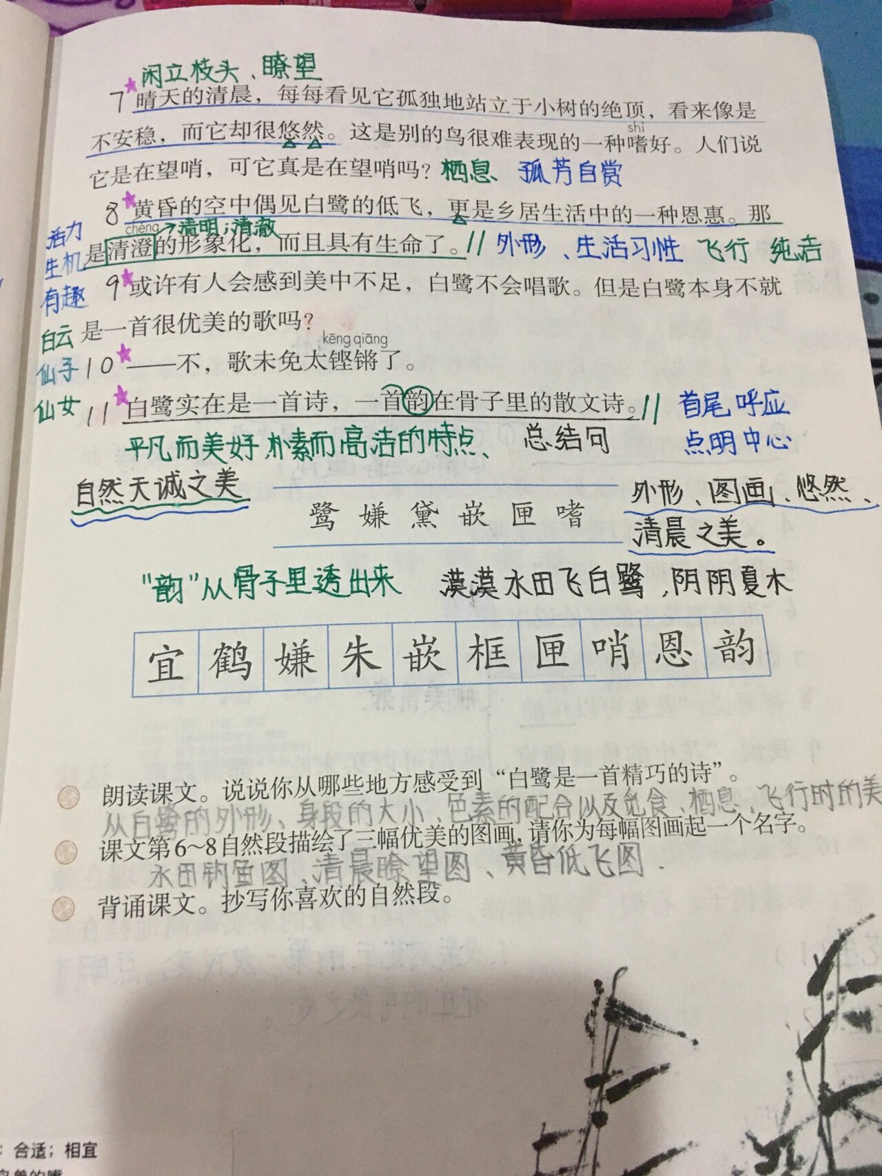 五年级上册1白鹭