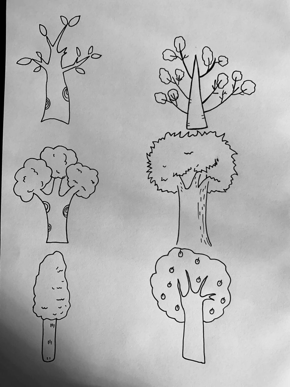 有趣的树主题简笔画图片