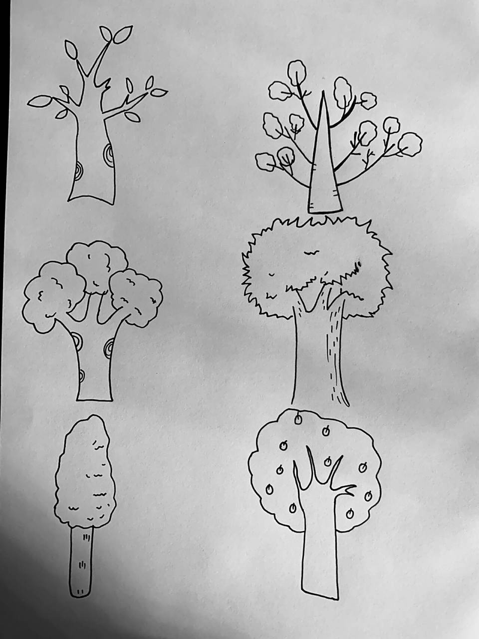 简笔画素材——大树篇 各种各样的树,你喜欢画哪种?