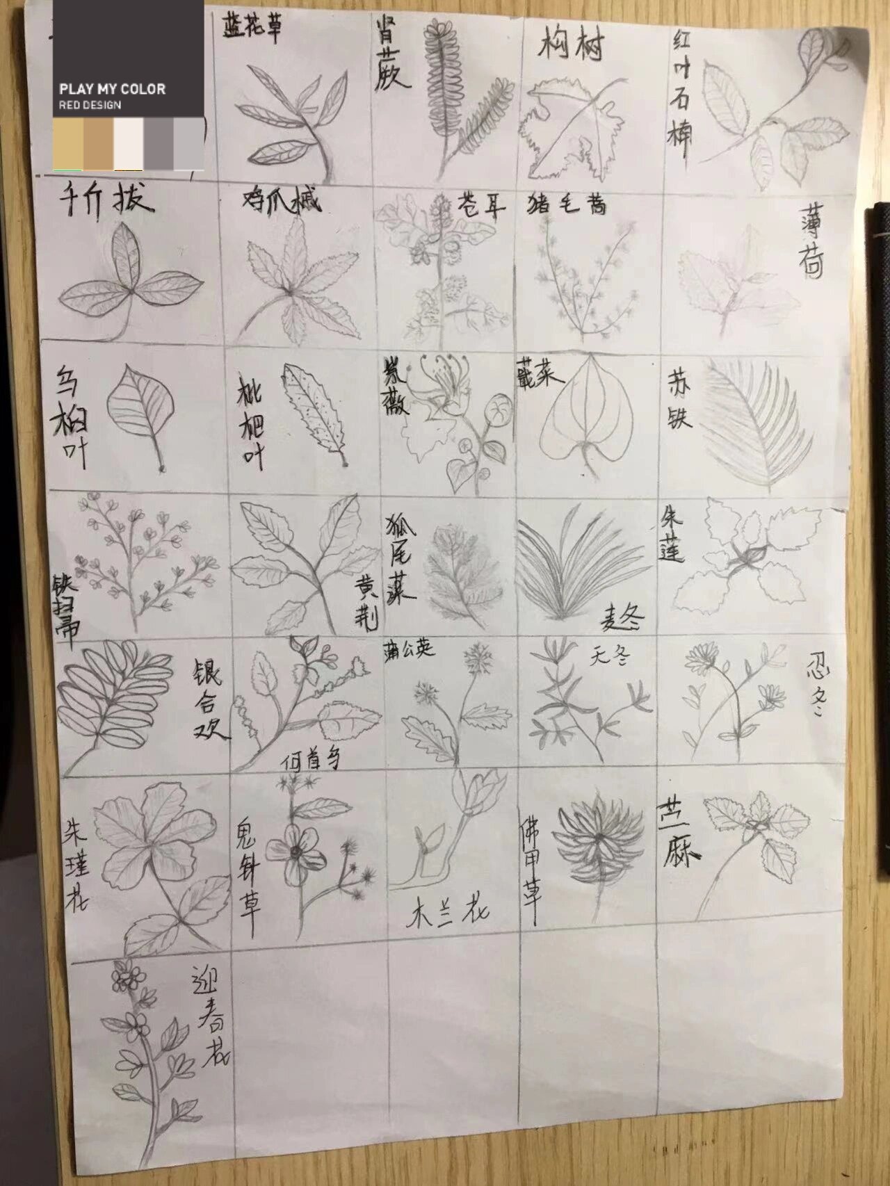 中药简笔画