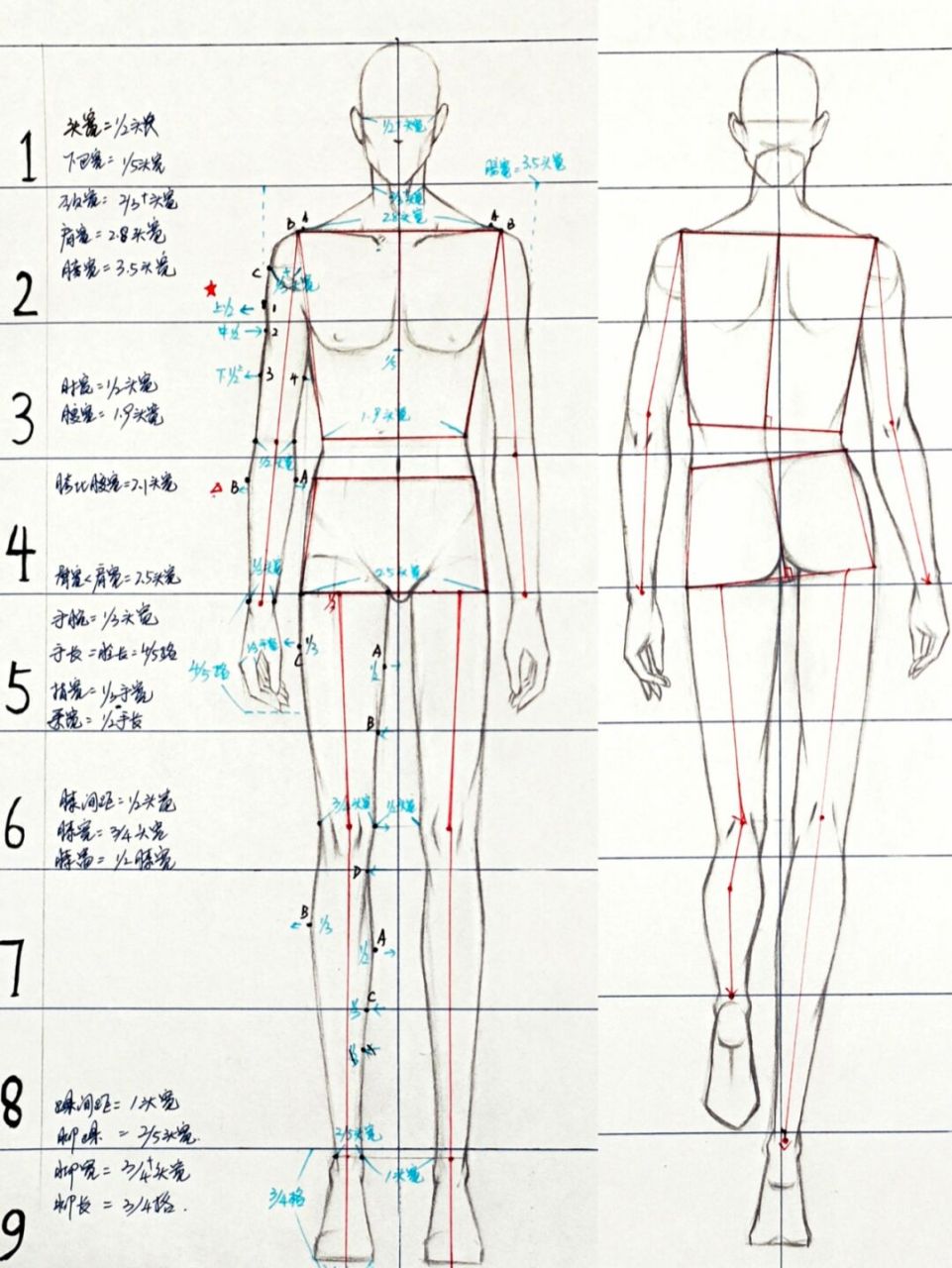 人体8个75男女正背面 走动站立 超级硬货来啦75这一条笔记把服装