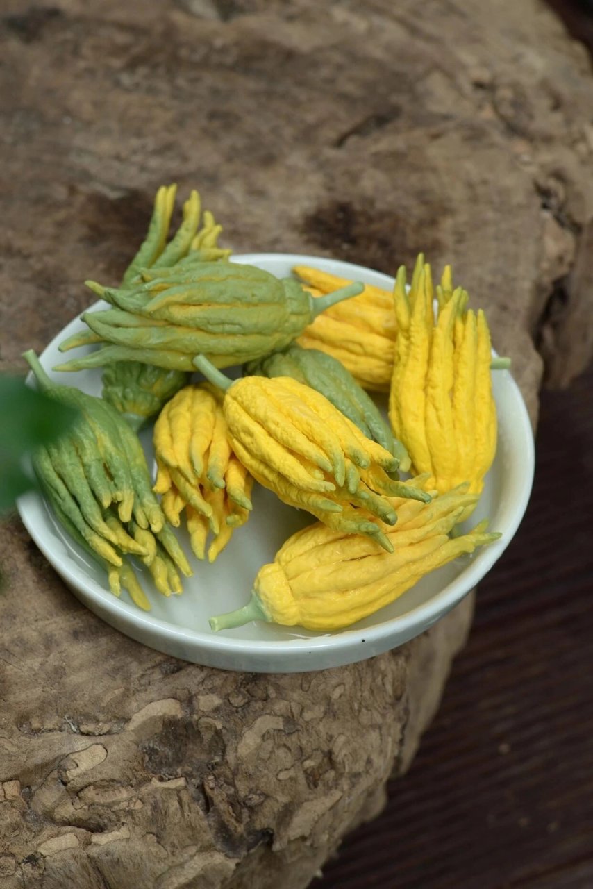 潮州非遗手作-佛手果 99【陶瓷魔法】捏出神奇佛手果!