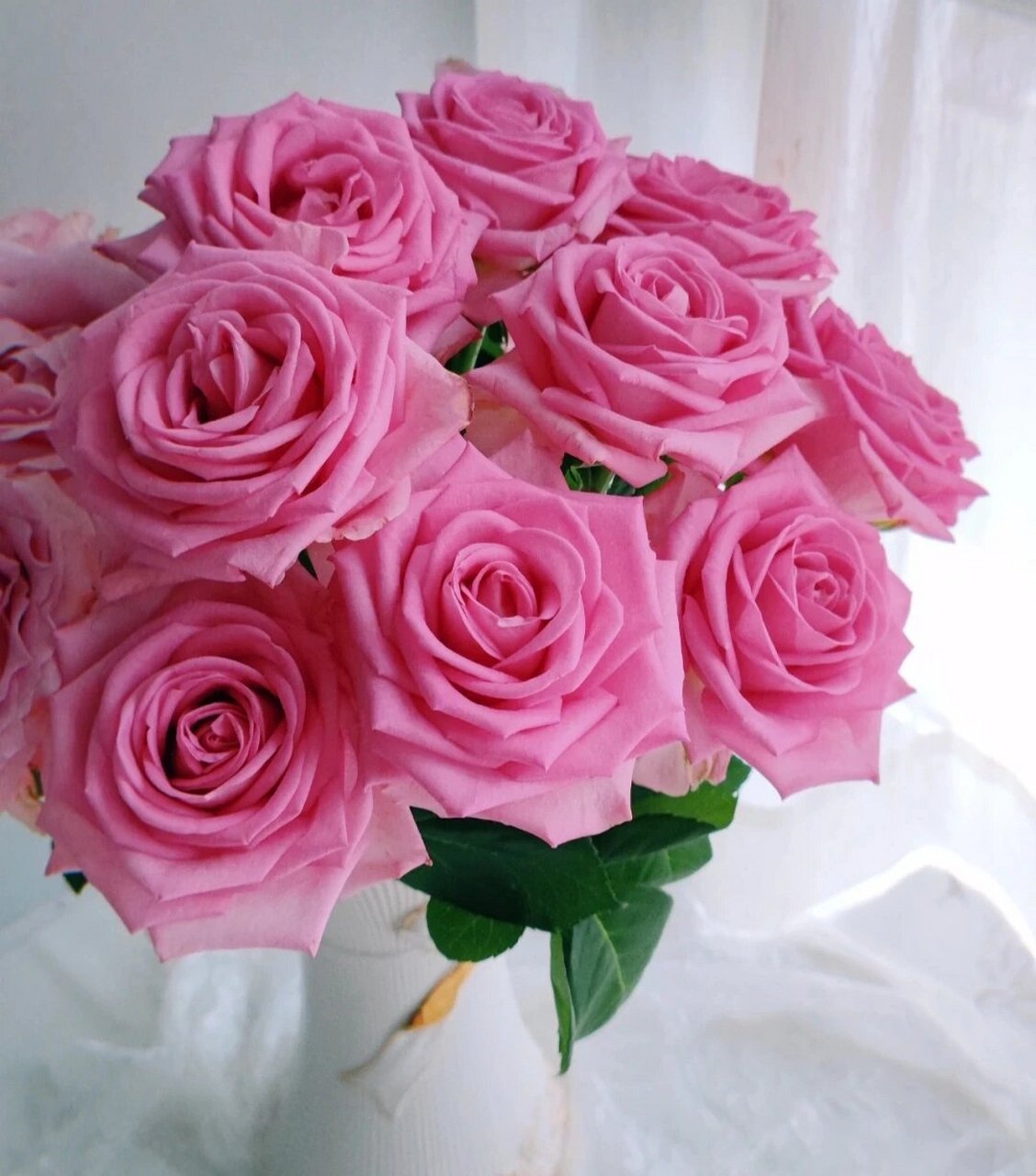 每天涨点新知识 | 苏醒玫瑰 粉玫瑰中的水粉系,花语更适合表达情窦初