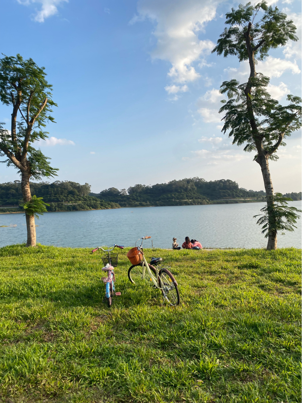 博罗大洞水库|亲子户外的好地儿90 周末三点多到好多车呀 小堵 因为
