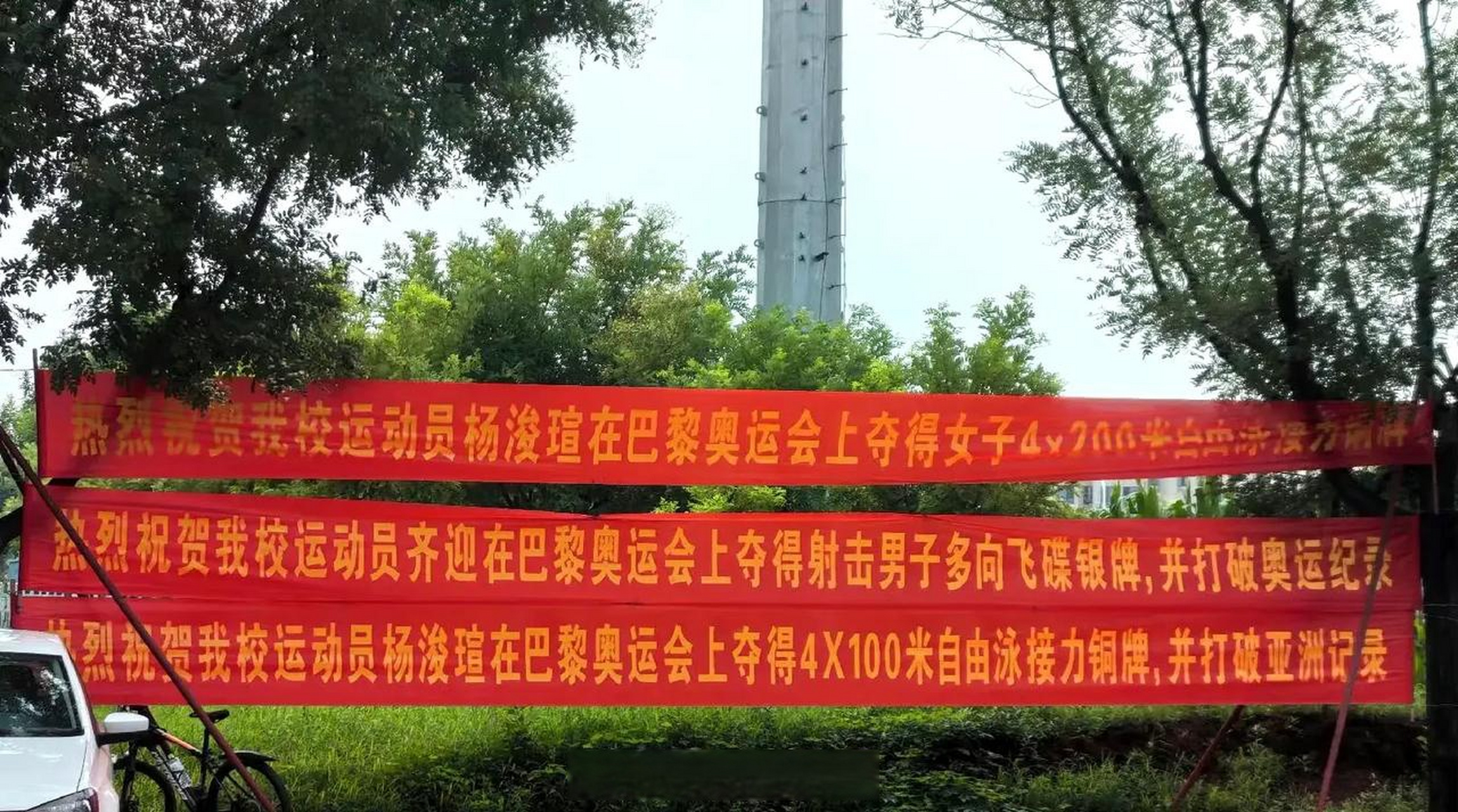 淄博市体育运动学校挂出的横幅喜报!