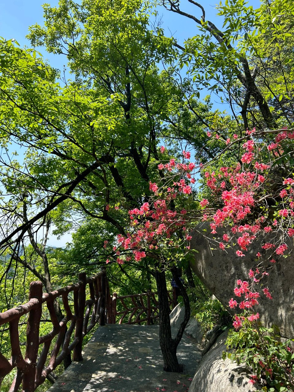 霍山县铜锣寨旅游攻略          99路线规划 直接导航铜锣寨风景区